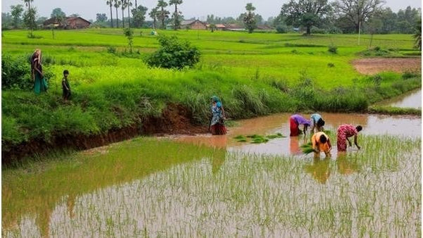 The Sun Is My Calendar: A Day with the Bhil Farmers of Madhya Pradesh